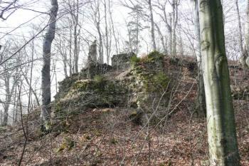 torzo pilířů a hradby předbraní vlastního jádra hradu ( © Jan P. Štěpánek 03/2008)