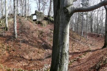 celkový pohled na jádro hradu s torzem západního paláce a mohutným příkopem a valem po obvodě pahorku jádra ( © Jan P. Štěpánek 03/2008)