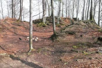 pohled od západu přes bývalé nádvoří hradu na zaniklý východní palác ( © Jan P. Štěpánek 03/2008)