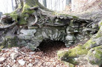 dochovaná klenba místnosti v přízemí východního paláce ( © Jan P. Štěpánek 03/2008)
