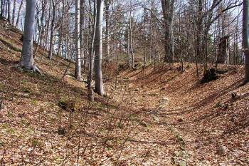 Příkop ( © Roman Řezáč 04/2004)