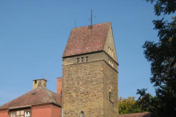  (© Zdeněk Susa, 09/2008)