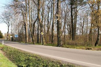 V místech dnešního lesíka se nacházel stonavský statek (podle místních pamětníků i budovy lihovaru) ( © Miroslav BITTER 04/2007)