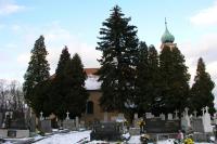 kostel sv. Václava