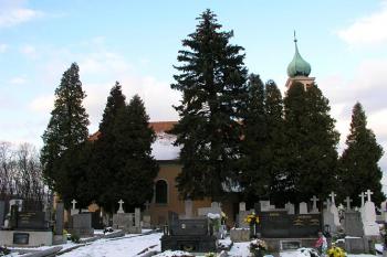 Pohled z přiléhajícího hřbitova ( © Roman Řezáč 12/2004)