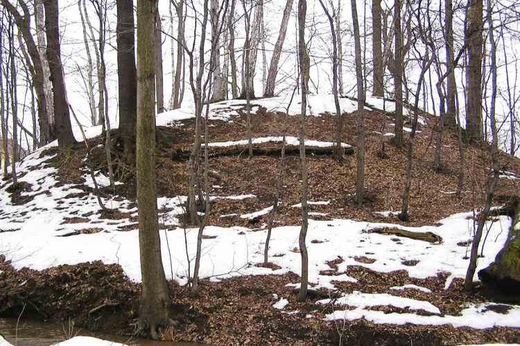 Stonava