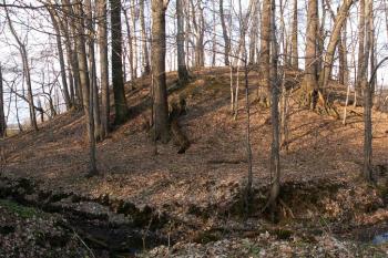 Celkový pohled od západu na motte bývalé tvrze. ( © Miroslav BITTER 03/2007)