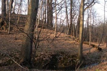 Kopcovitý útvar jádra tvrze tzv. motte ( © Miroslav BITTER 03/2007)