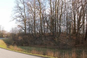 Celkový pohled na tvrziště od severozápadu. ( © Miroslav BITTER 03/2007)