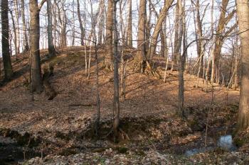 Pohled od jihu na motte bývalé tvrze. ( © Miroslav BITTER 03/2007)