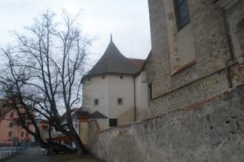  (© Jiří Suchomel, 01/2009)