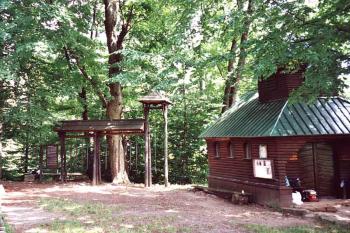  ( 2002© Luděk Pitter)