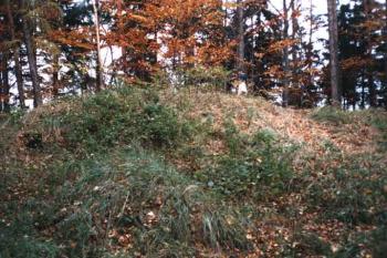  (© Seycek 10/2004)