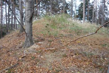 Hrádek u Přílep (© Karel Světlík, 09/2010)