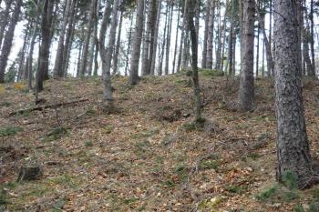 Hrádek u Přílep (© Karel Světlík, 09/2010)