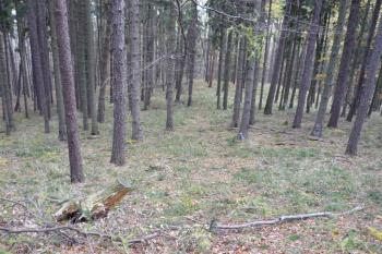 Hrádek u Přílep (© Karel Světlík, 09/2010)