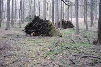Hrádek u Přílep (© Karel Světlík, 09/2010)