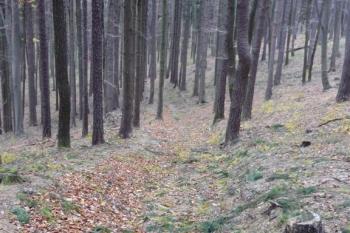 Hrádek u Přílep (© Karel Světlík, 09/2010)