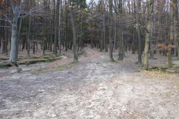 Hrádek u Přílep (© Karel Světlík, 09/2010)