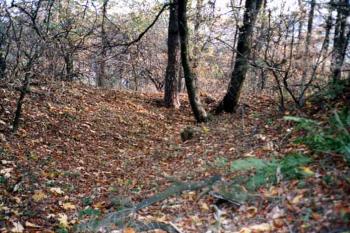  (© seycek 10/2004)