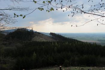 pohled na protější kopec Světíkov, nacházejicí se směrem na jz (© D Dohňanský, 05/2017)