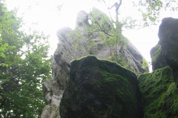  (© D Dohňanský, 08/2014)