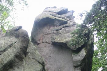  (© D Dohňanský, 08/2014)