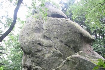  (© D Dohňanský, 08/2014)