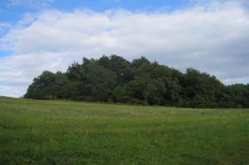 pohled na vrch Skalný s hrádkem od cesty  z Hostýna ( © Ondřej Štěpánek 09/2007)