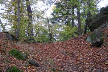 Okružní příkop na západě ( © Jan P. Štěpánek 10/2007)