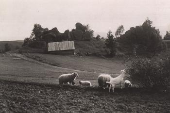 Skalný (© anonym 1901)