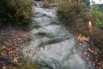 Pozůstatky schodiště v prostoru jádra hradu ( © Filip Matoušek 11/2008)