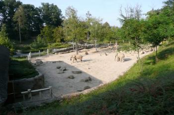 velmi moderní africký výběh pro slony ( © Jan P. Štěpánek 09/2008)