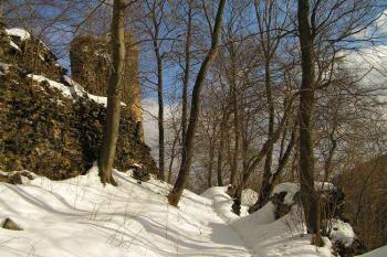 Rýzmburk (© Daniela Endrštová, 3/2006)