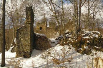 Rýzmburk (© Daniela Endrštová, 3/2006)