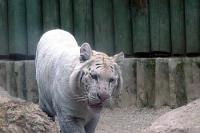ZOO Liberec