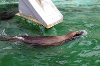 ZOO Liberec