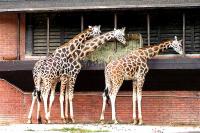 ZOO Liberec