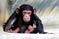 ZOO Liberec