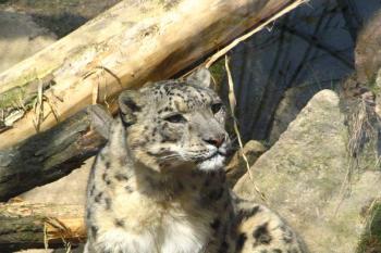 ZOO Liberec (© Petr Pokorný 05/2006)