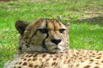 ZOO Liberec (© Petr Pokorný 05/2006)