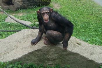 ZOO Liberec (© Ivo Rozehnal, 06/2008)