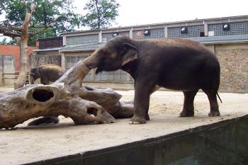 ZOO Liberec (© Ivo Rozehnal, 06/2008)