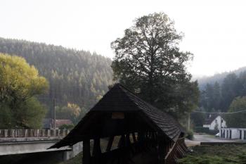  ( © Iva Spurná 28.9.2009)
