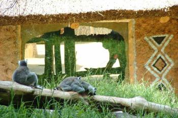 Matango (© Stanislav Brebera 05/2005)