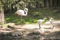 ZOO Ohrada