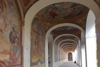 Ambit (© Johannes Cladis, 09/2014)