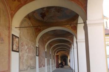 Ambit (© Johannes Cladis, 09/2014)