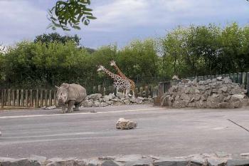 ( © Luděk Pitter 08/2004)