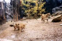 ZOO Olomouc